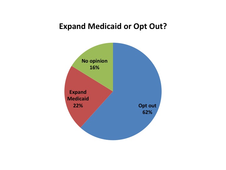 Medicaid2013