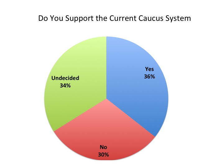 Caucus System